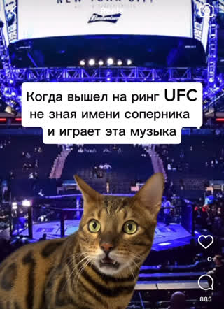 Когда услышал эту песню при выходе бойца