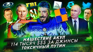 № 368 Нашествие акул / 114 тысяч $$$ за джинсы / Токсичный Путин