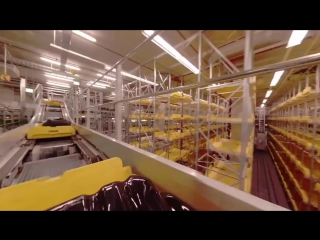 Пока вы томитесь на паспортном контроле, ваш багаж неплохо проводит время